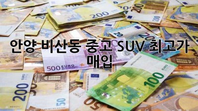 안양 비산동 중고 SUV 최고가 매입!
